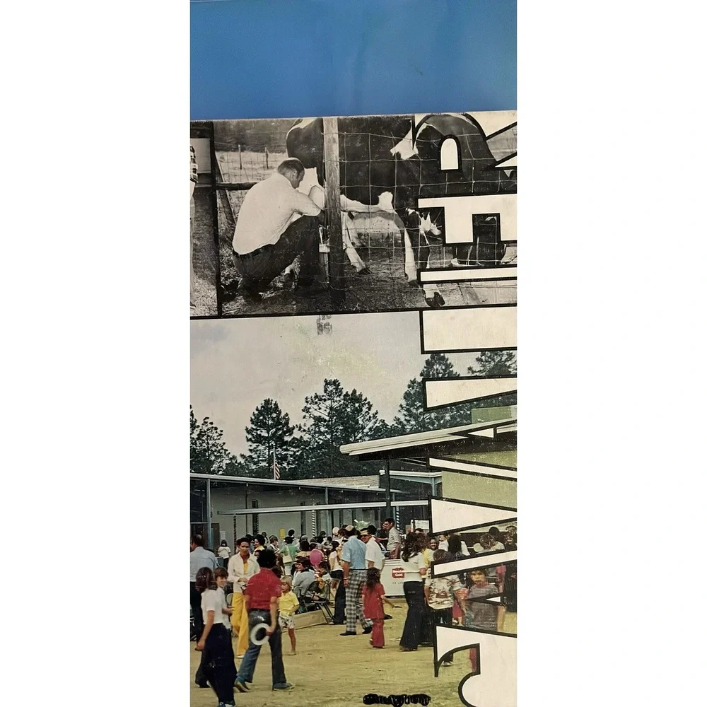 Houston Acadamy Dothan Al Yearbooks 73 74 75 76
